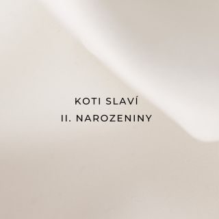 🥳 Značku KOTI studio jsem založila před dvěma lety za úplně jiným účelem. 🪴Vyráběla jsem bytové dekorace a logo si tenkrát...